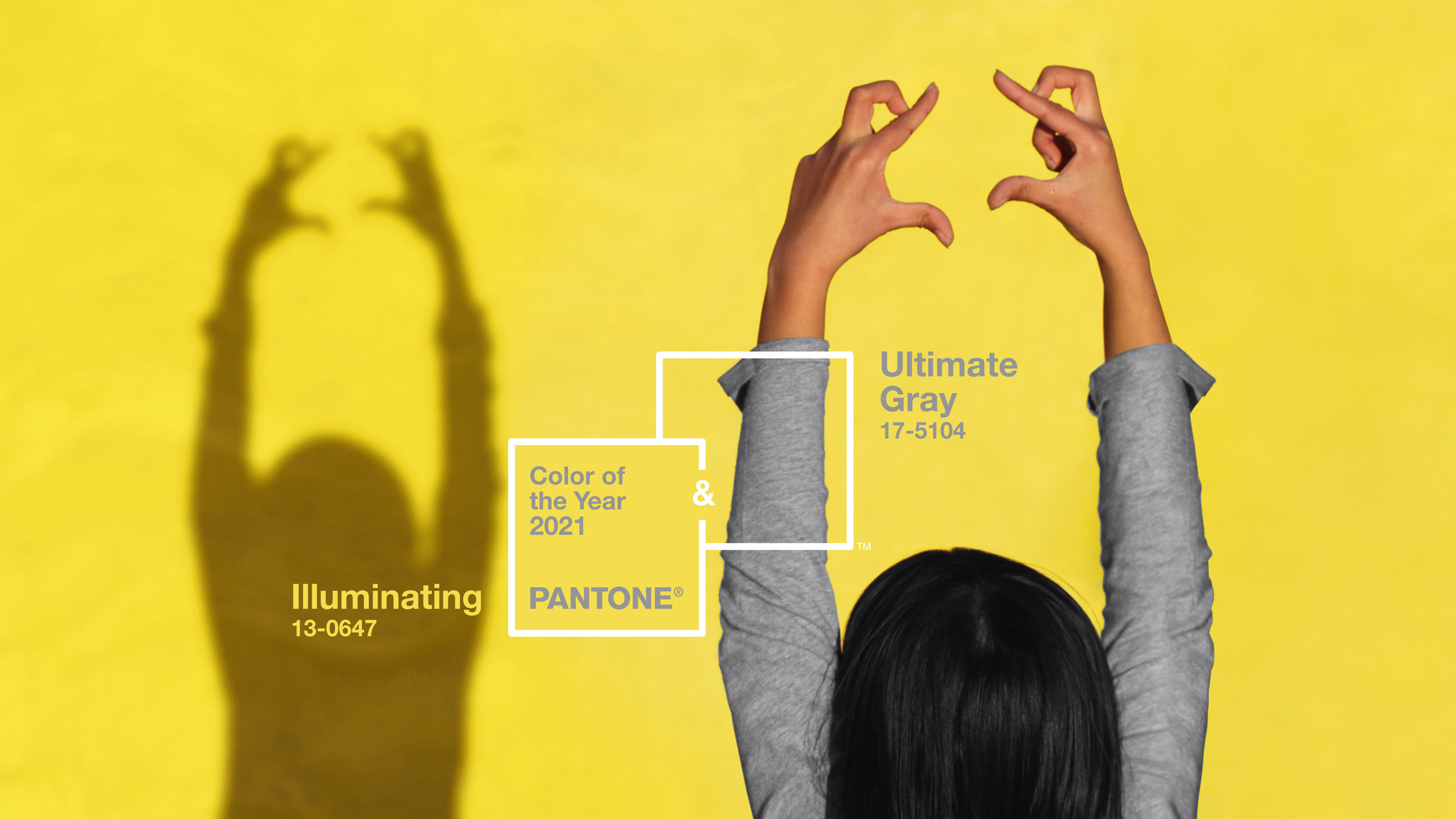 Ultimate Grey et Illuminating - Pantone 2021.